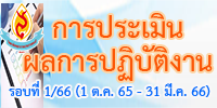 website-pa66-1