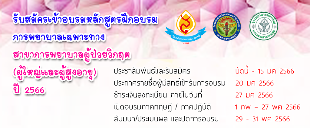 ผู้ใหญ่